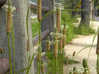 �w���I�I�o�R