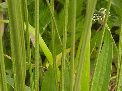 �w���I�I�o�R