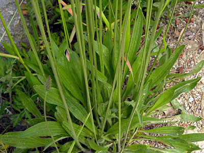 �w���I�I�o�R