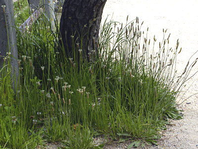 �w���I�I�o�R