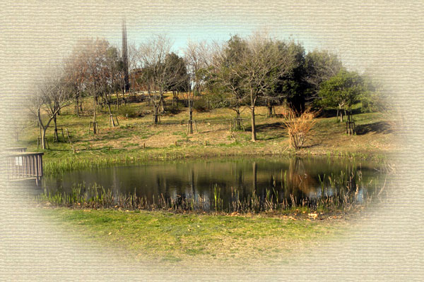 �r�I�g�[�v