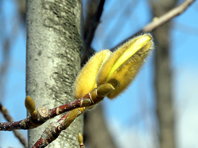 �n�N���N����