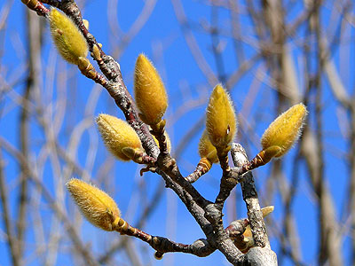 �n�N���N����