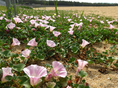 �n�}�q���K�I