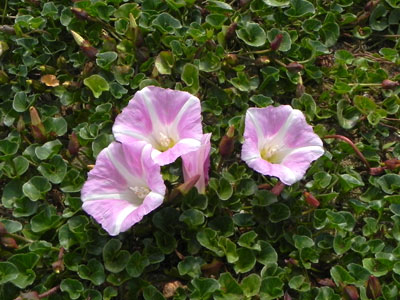 �n�}�q���K�I