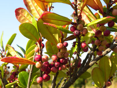 �n�}�q�T�J�L