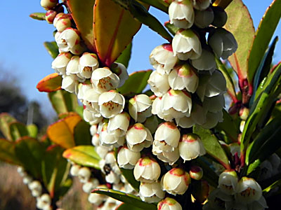 �n�}�q�T�J�L