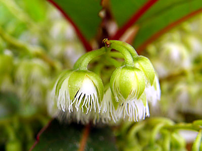 �z���g�m�L