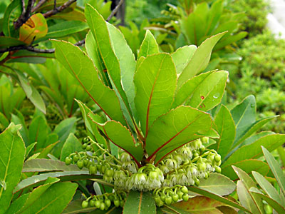 �z���g�m�L