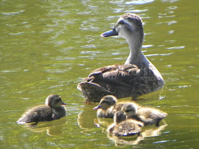 �J���K��