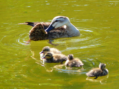 �J���K��