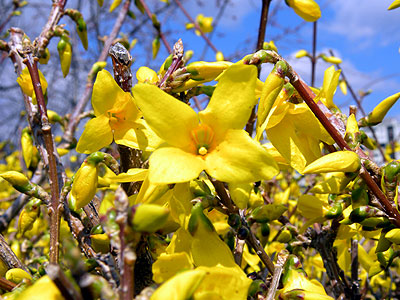 �����M���E