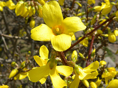 �����M���E