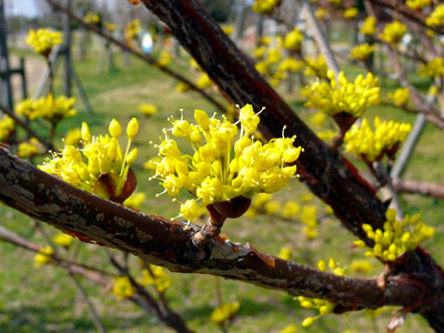 �T���V����