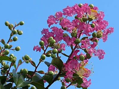 �T���X�x��