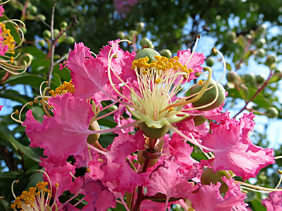 �T���X�x��