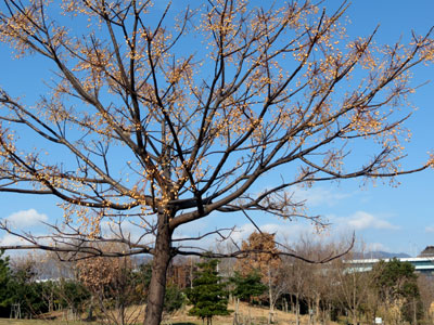 �Z���_��