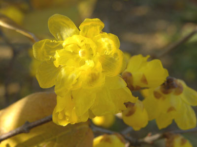 �\�V�����E�o�C