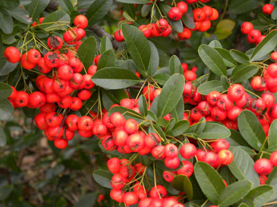 �g�L���T���U�V