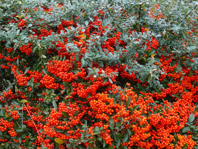 �g�L���T���U�V