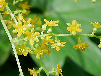 �J�G�f�h�R��