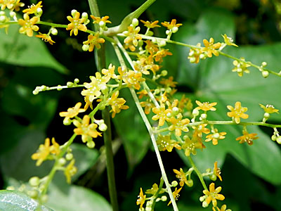 �J�G�f�h�R��