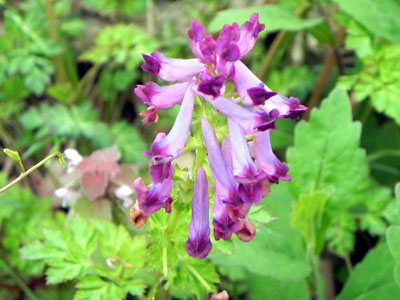 �����T�L�P�}��