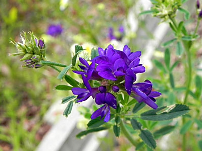 �����T�L�E�}�S���V