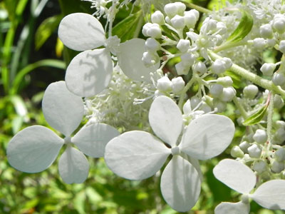 �m���E�c�M