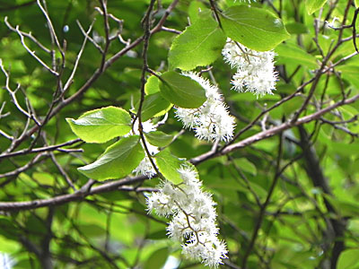 �^���i�T���t�^�M