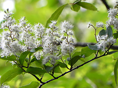 �^���i�T���t�^�M