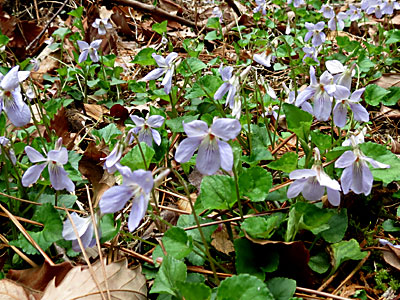 �^�`�c�{�X�~��