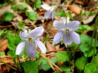 �^�`�c�{�X�~��