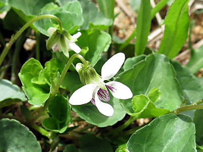 �c�{�X�~��