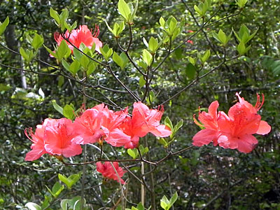 ���}�c�c�W