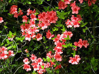 ���}�c�c�W