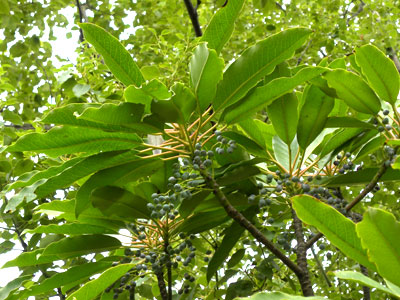 ���Y���n