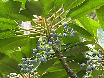 ���Y���n