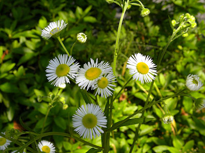 �q���W���I��