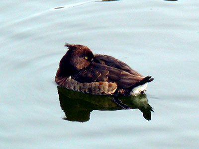 �L���N���n�W��