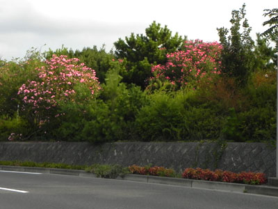 �L���E�`�N�g�E