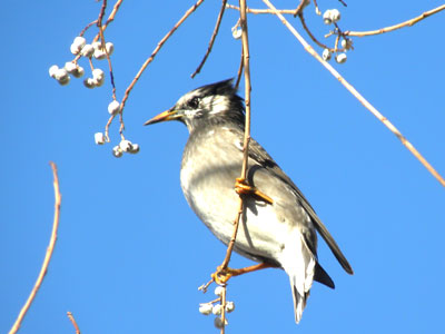 ���N�h��