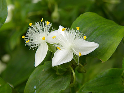 �m�n�J�^�J���N�T