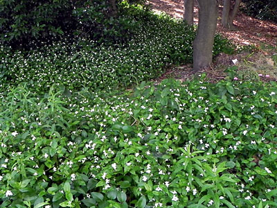 �m�n�J�^�J���N�T