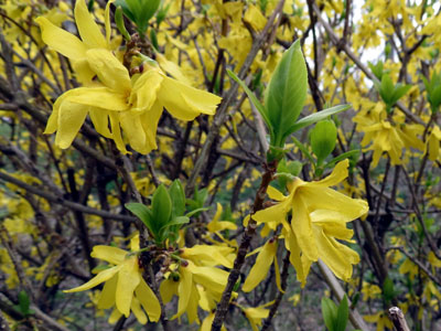 �����M���E