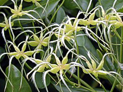 �Z���j���\�E