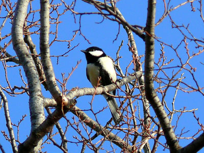 �V�W���E�J��