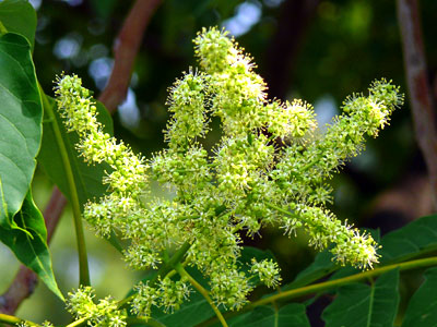 �j���E���V