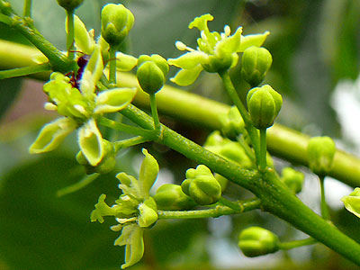 �j���E���V