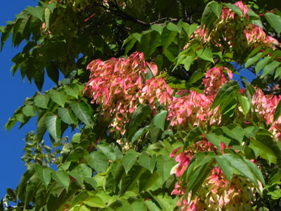 �j���E���V